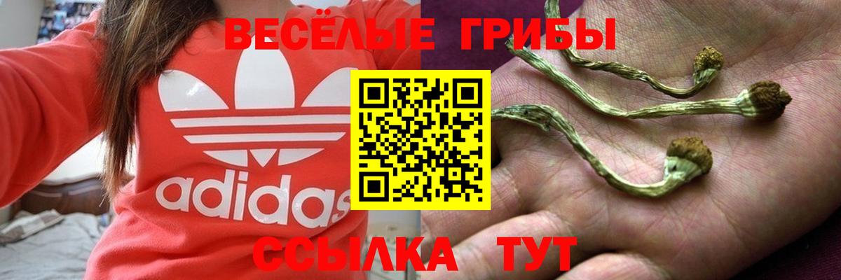 Москва  Галлюциногенные грибы GOLDEN TEACHER  Вход с VPN 